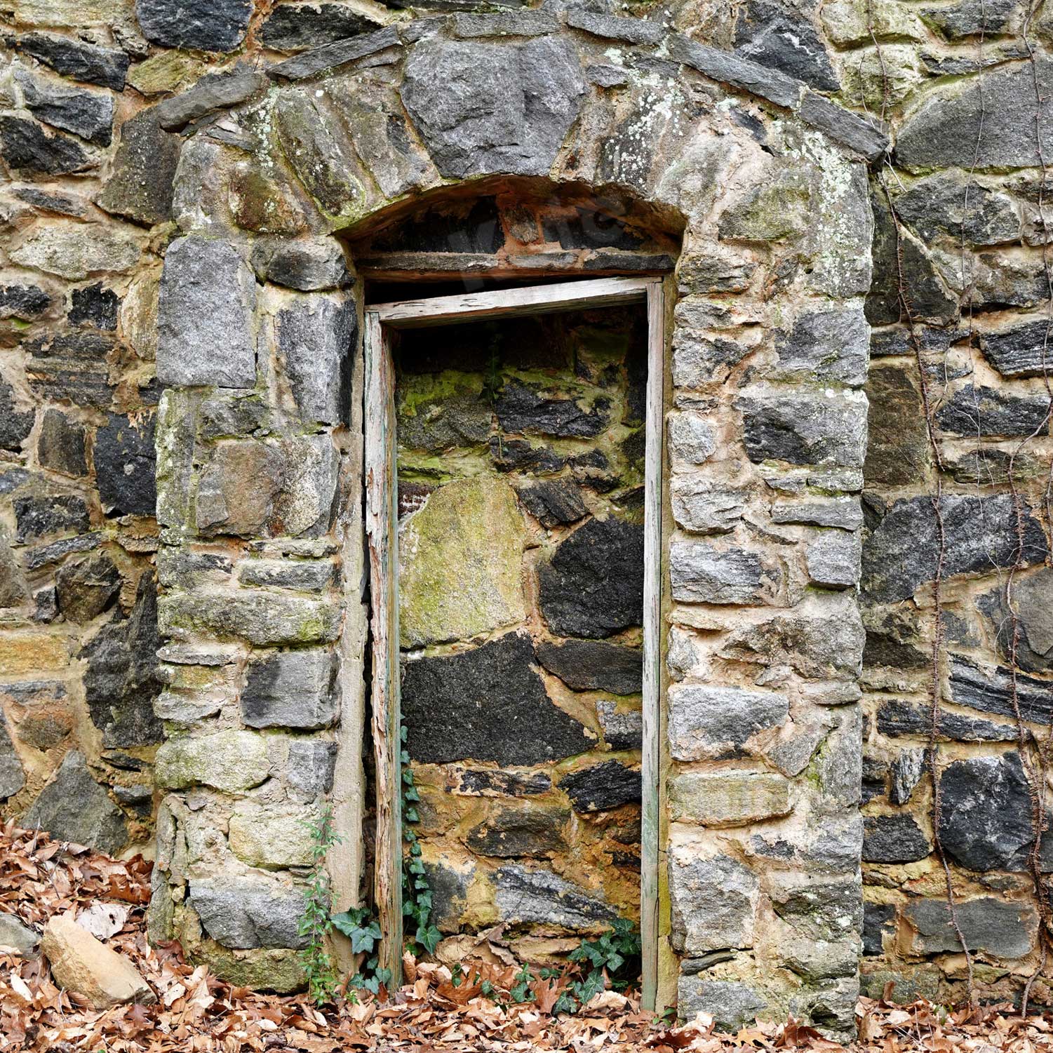 Kate Medievil Rock Doorway Backdrop designed by Arica Kirby - Image 5