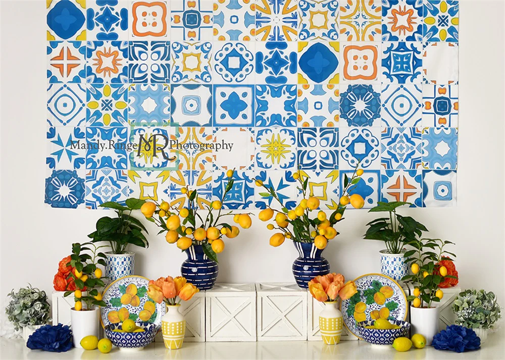 Kate Mediterranean Summer Backdrop Designed by Mandy Ringe Photography - Image 2