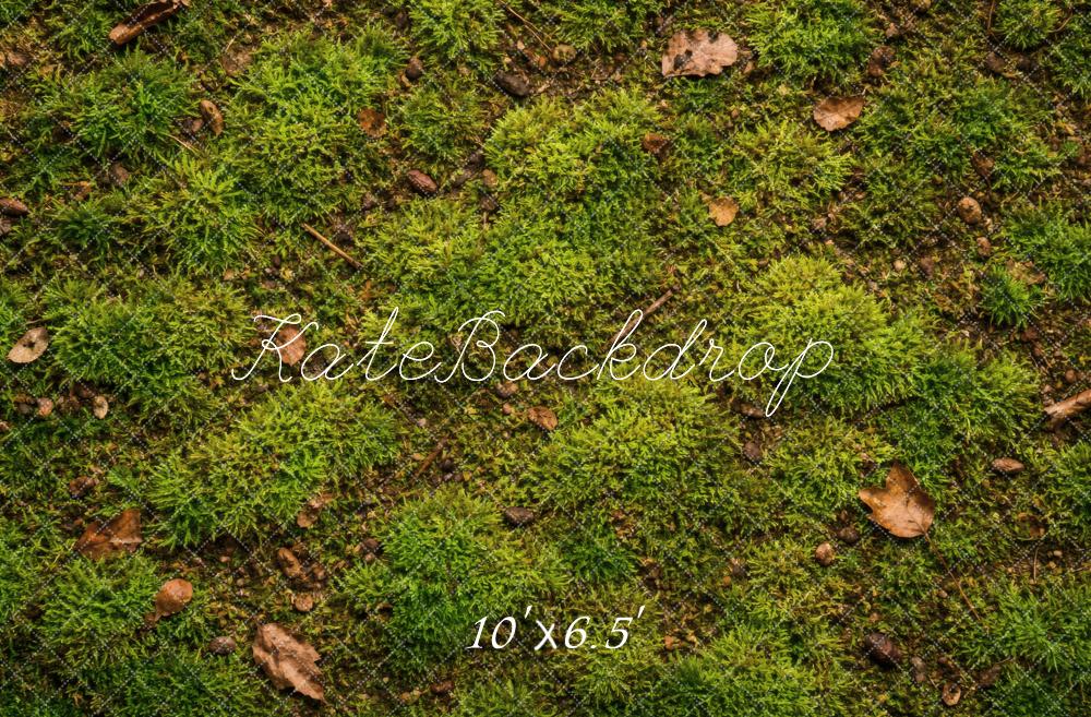 Kate Mossy Ground Leaves Texture Floor Backdrop Designed by Vertigo Productions - Image 4