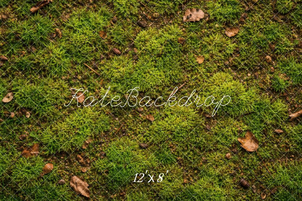 Kate Mossy Ground Leaves Texture Floor Backdrop Designed by Vertigo Productions - Image 8