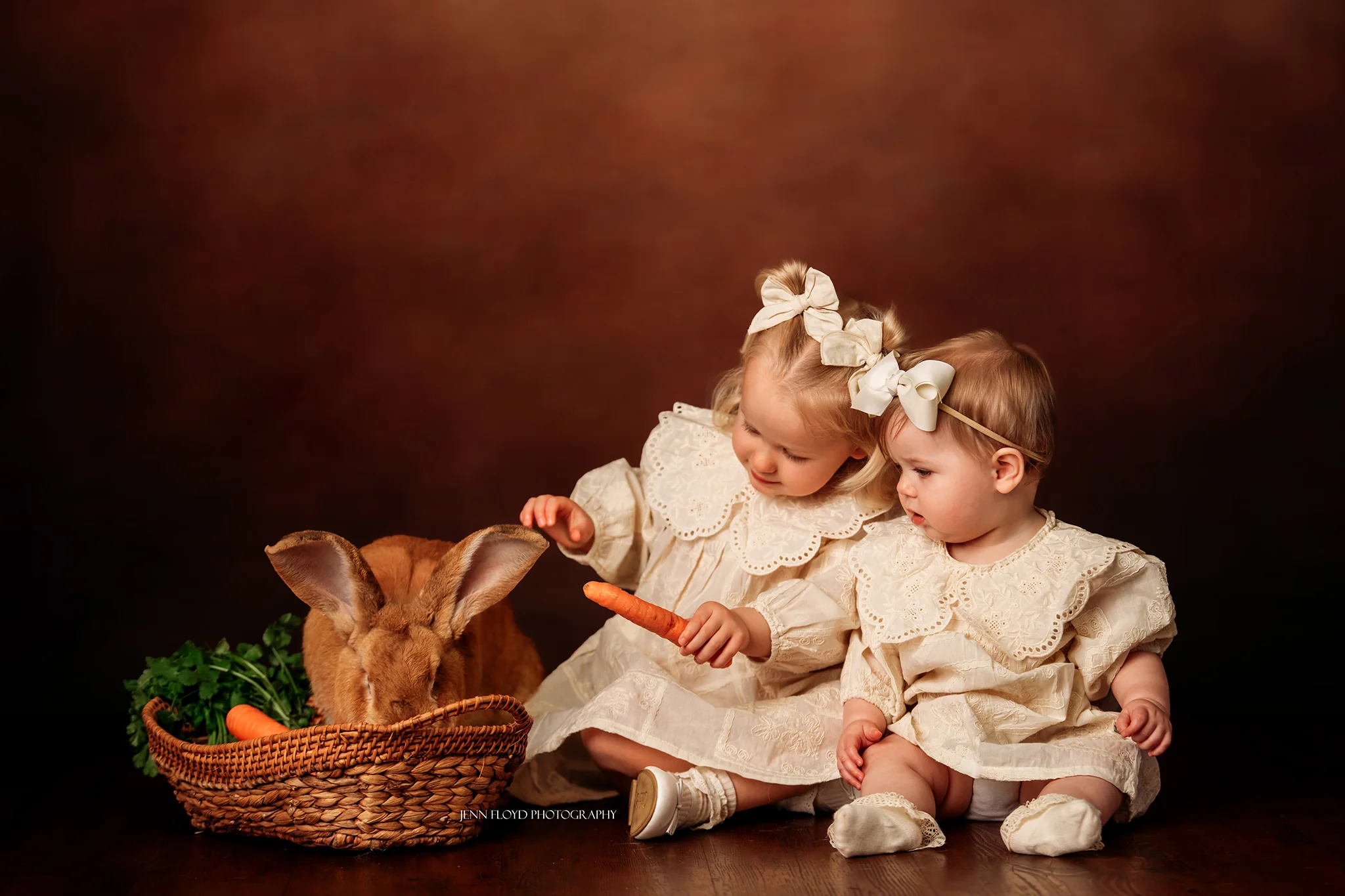 Kate Old Master Abstract Texture Light Brown Fleece Backdrop for Photography - Image 7