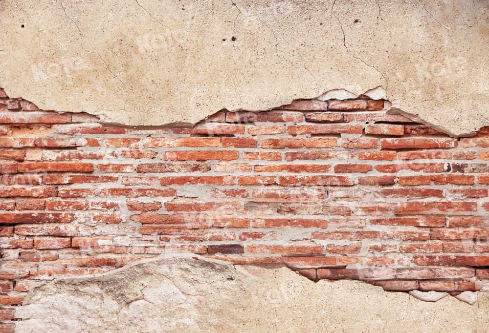 Kate Old Red Brick Wall Backdrop Designed by Kate Image