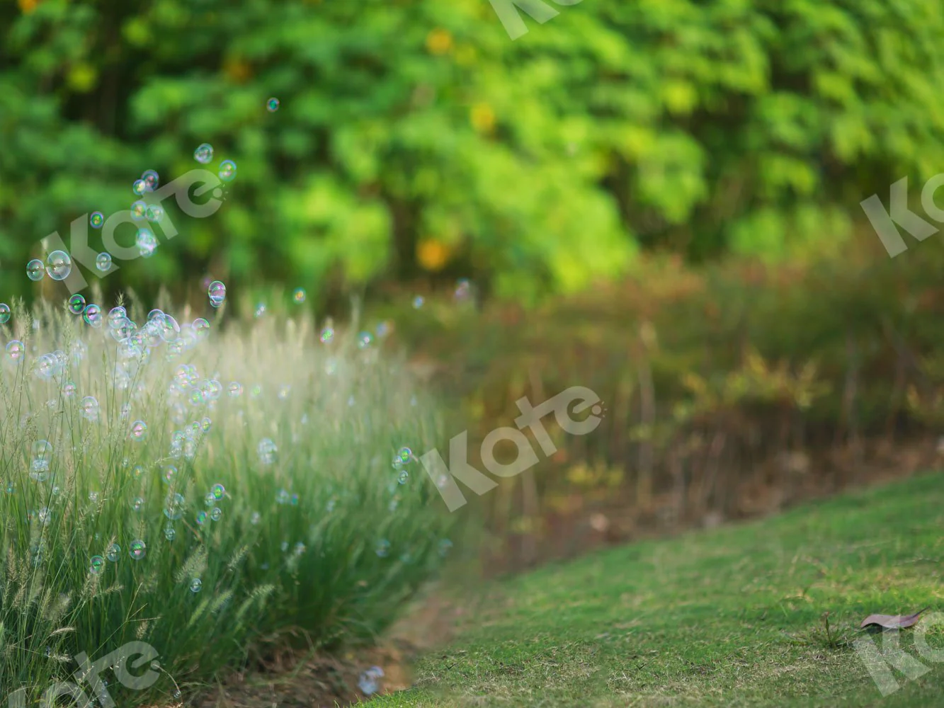Kate Outdoor Spring Grass Backdrop for Photography - Image 2