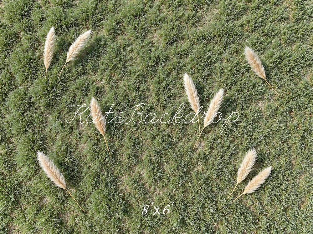 Kate Pampas Grass Field Green Floor Backdrop Designed by Mini MakeBelieve - Image 3