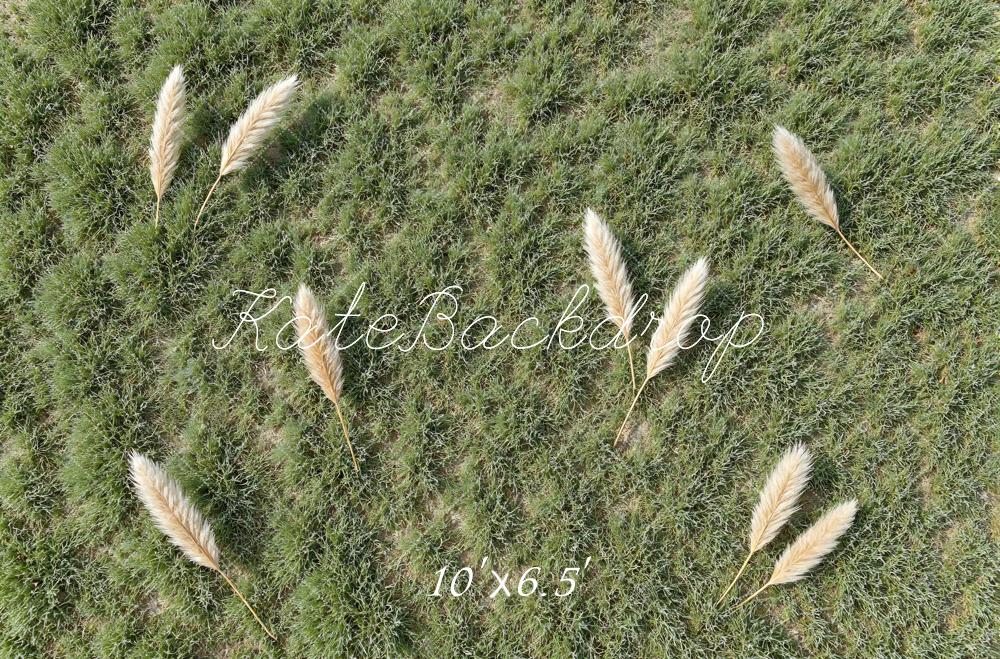 Kate Pampas Grass Field Green Floor Backdrop Designed by Mini MakeBelieve - Image 4