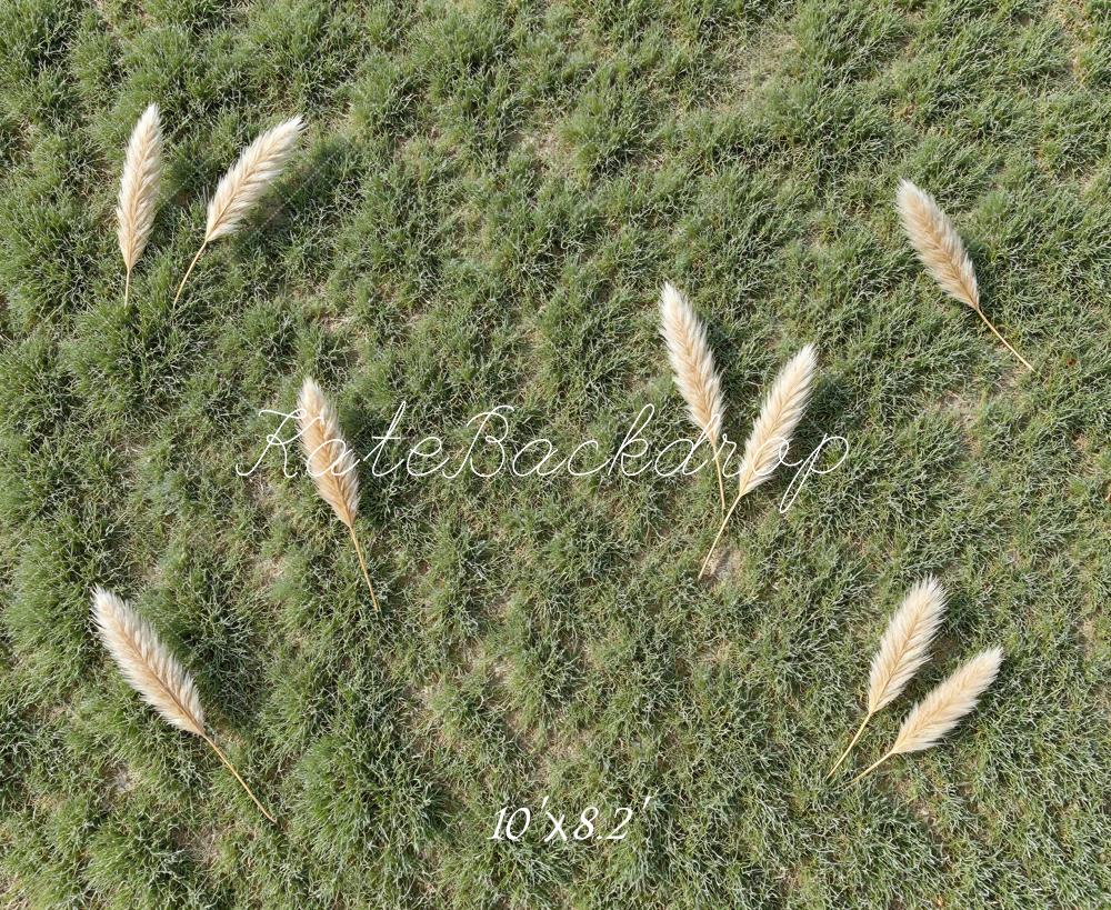 Kate Pampas Grass Field Green Floor Backdrop Designed by Mini MakeBelieve - Image 6