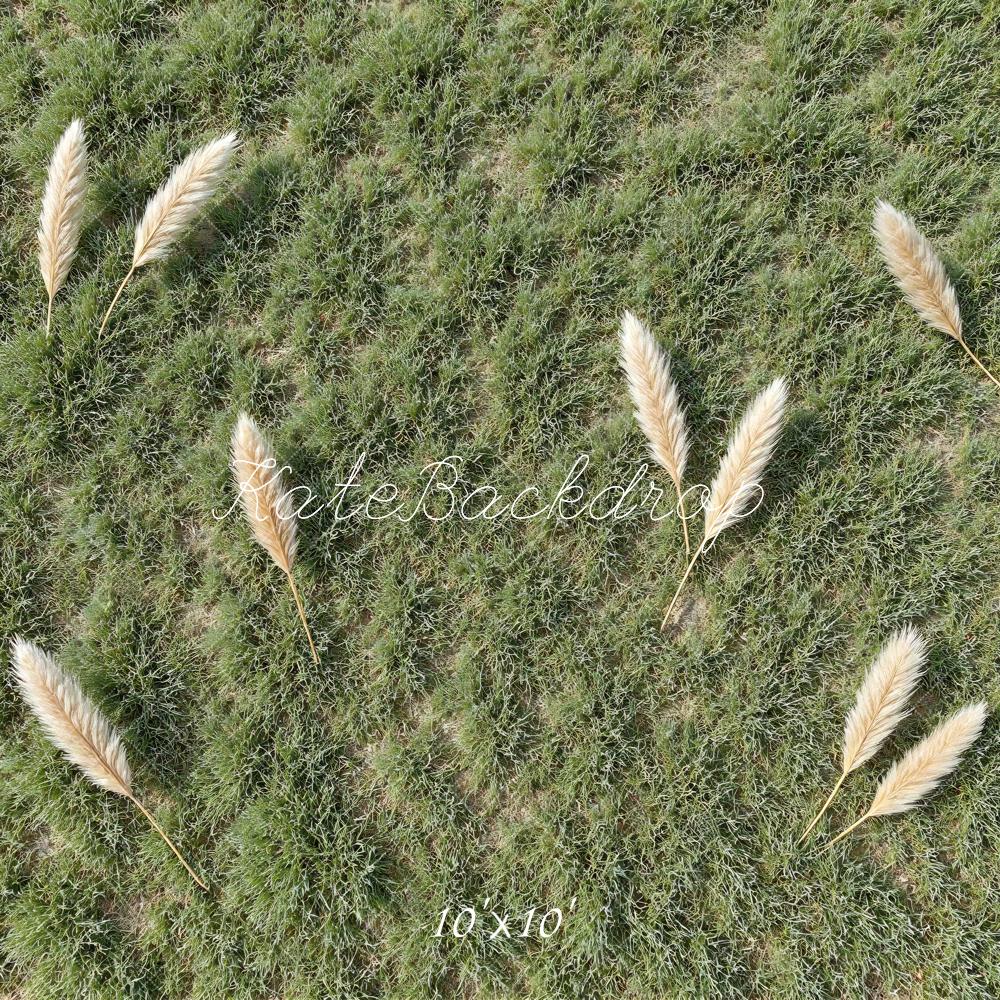 Kate Pampas Grass Field Green Floor Backdrop Designed by Mini MakeBelieve - Image 7