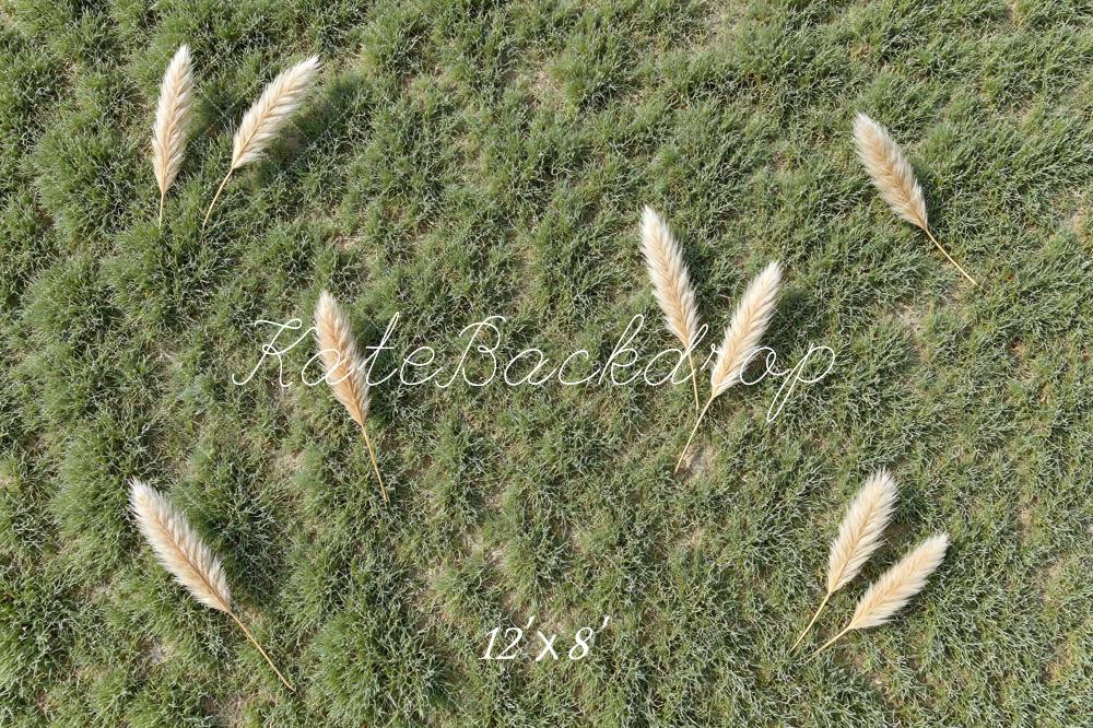 Kate Pampas Grass Field Green Floor Backdrop Designed by Mini MakeBelieve - Image 8