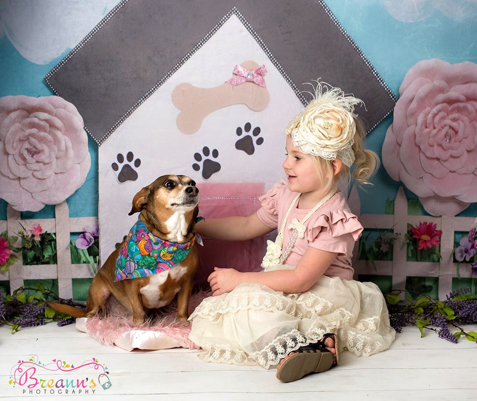 Kate Pet Park Railing Spring Children Backdrop for Photography Designed by Erin Larkins - Image 3