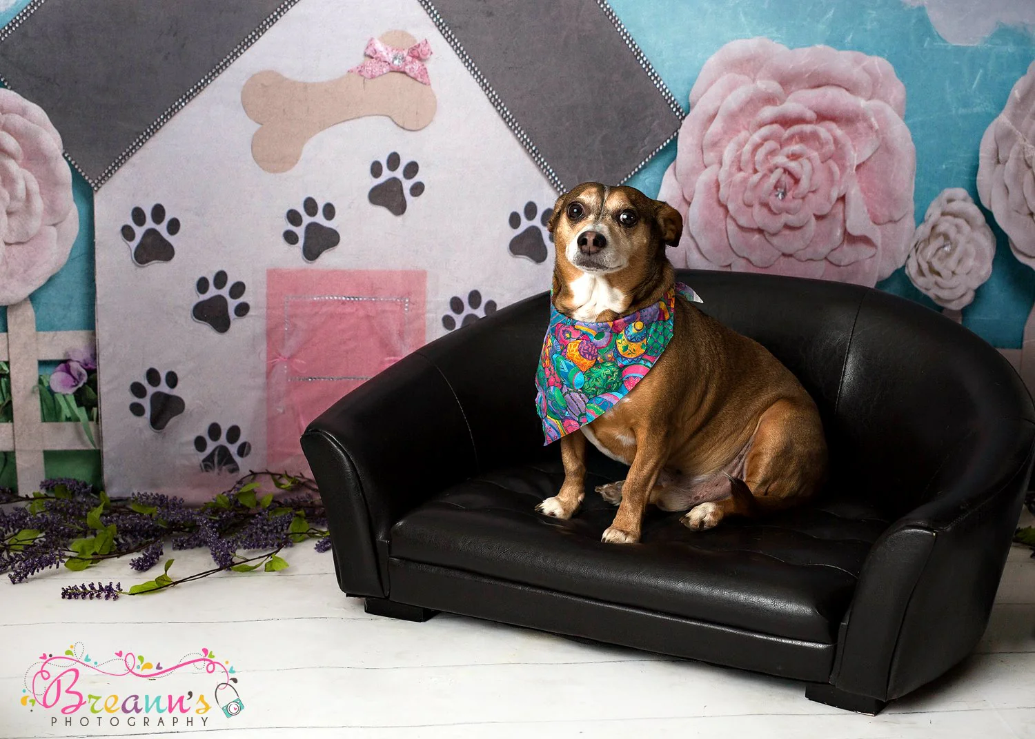 Kate Pet Park Railing Spring Children Backdrop for Photography Designed by Erin Larkins - Image 4