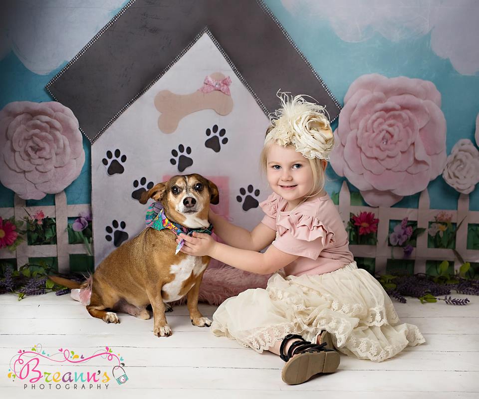 Kate Pet Park Railing Spring Children Backdrop for Photography Designed by Erin Larkins - Image 6