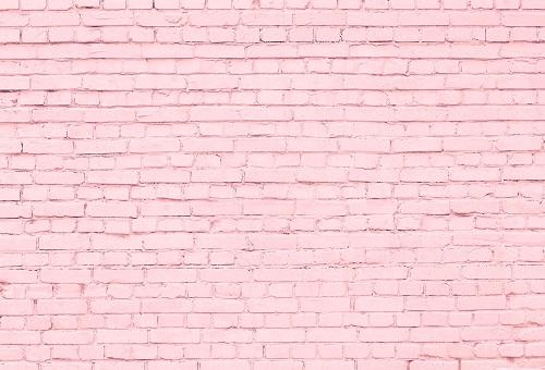 Kate Pink Brick Wall Photography Backdrops - Image 2