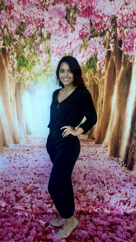 Kate Pink Cherry Blossoms Tree Backdrops Spring Scenery for Photo Shooting Background - Image 3