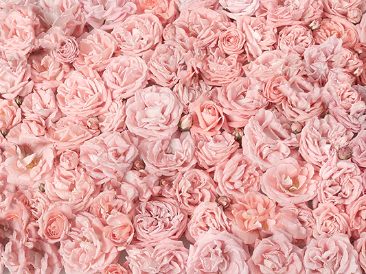 Kate Pink Floral Flowers Cluster Backdrops for Photography - Image 2