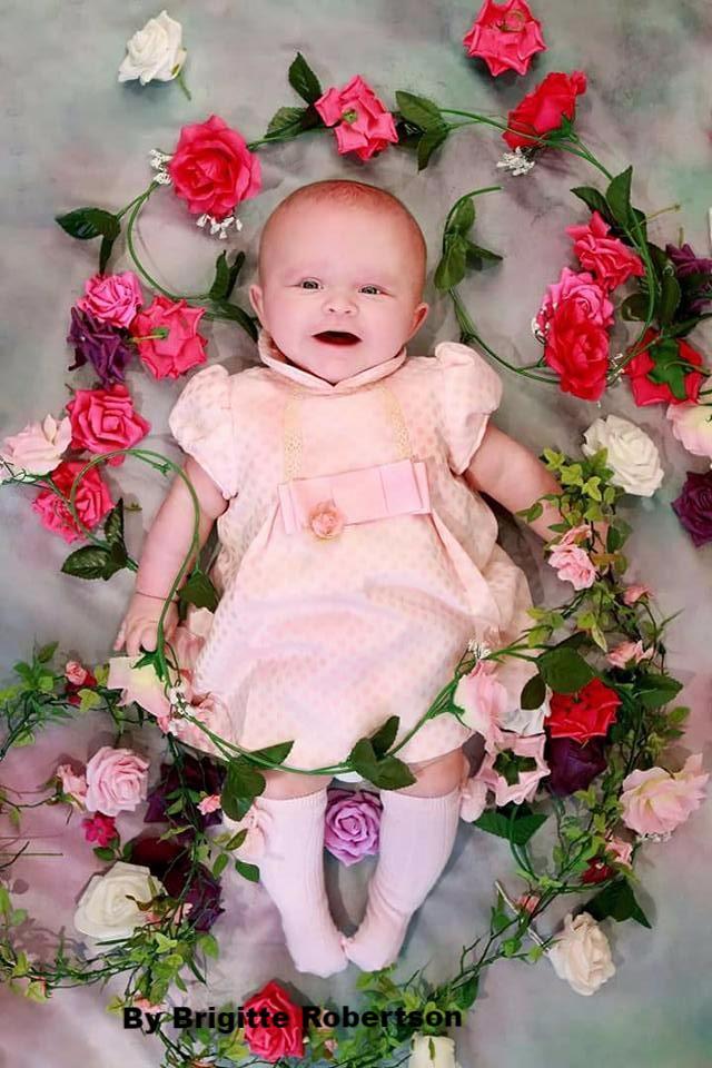 Kate Pink Flowers Valentine's Day Abstract Portrait Photography Backdrops - Image 11