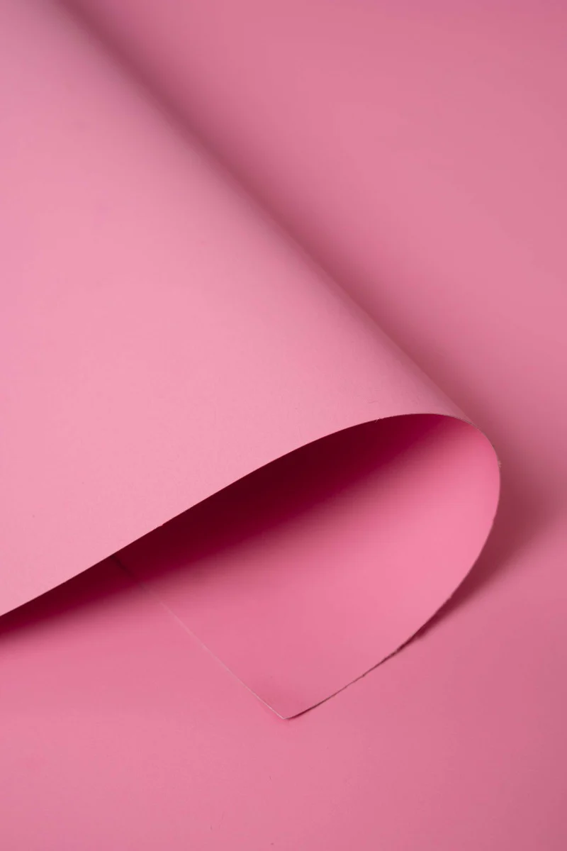 Kate Carnation Pink Seamless Paper Backdrop for Photography - Image 4