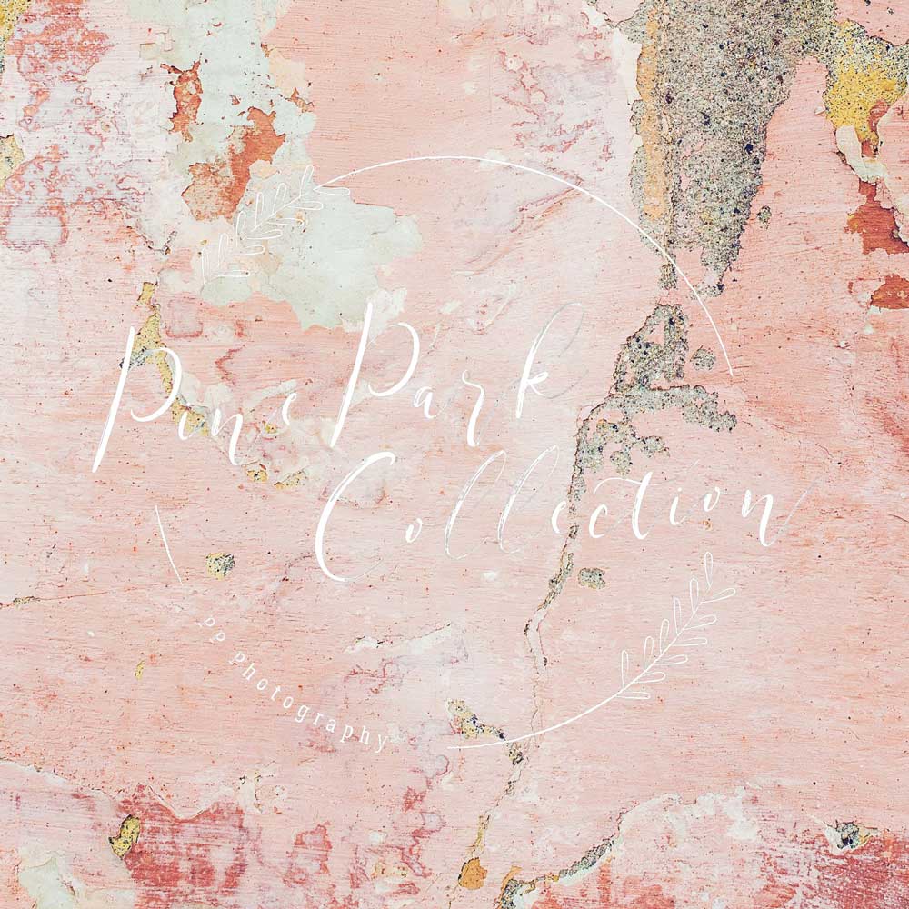 Kate Pink Stucco Wall Backdrop Designed By Pine Park Collection - Image 3