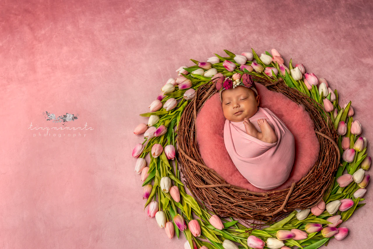 Kate Pink Tones Fine Art Abstract Backdrop designed by Veronika Gant - Image 10