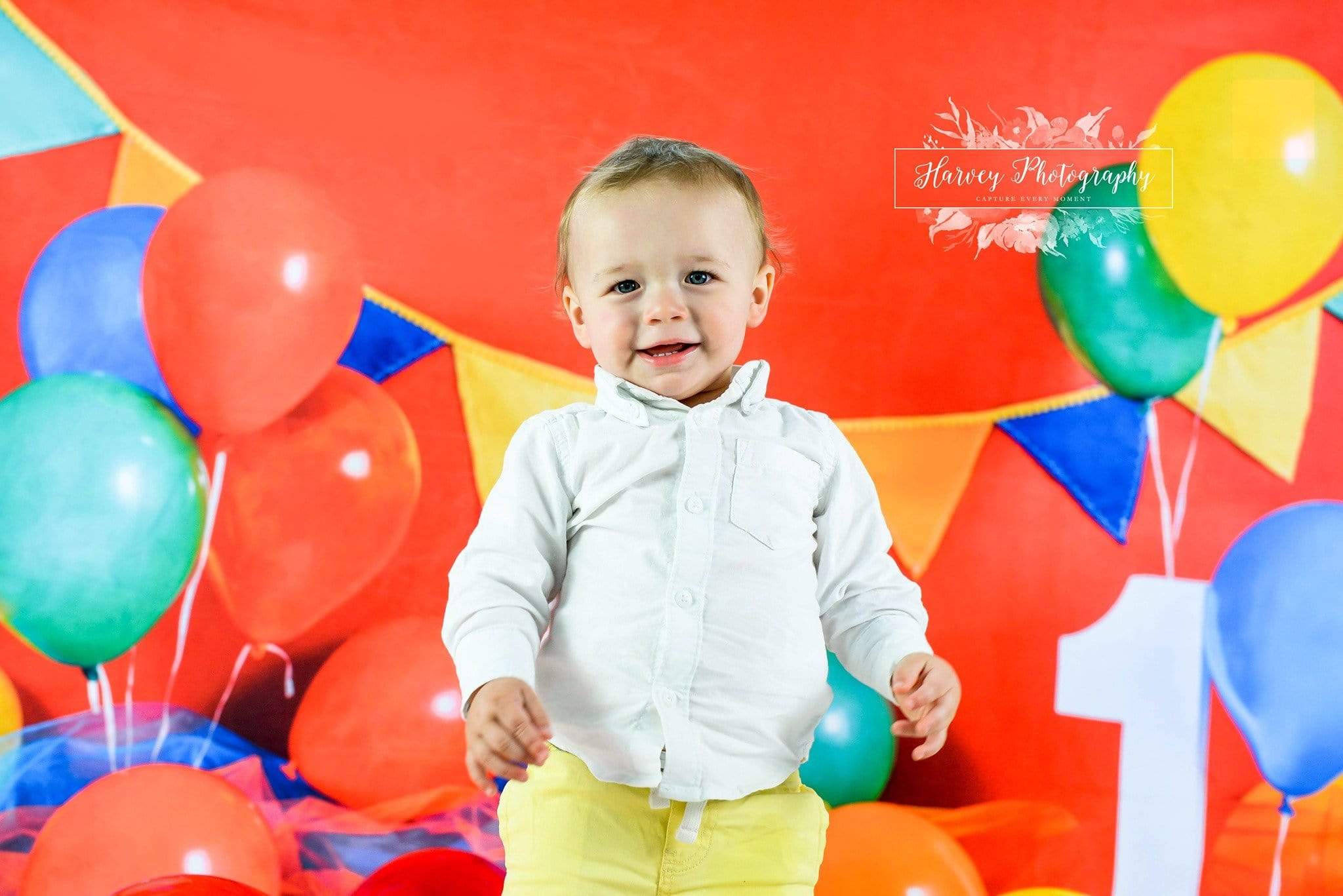 Kate Primary 1st Birthday Backdrop for Photography Designed by Keerstan Jessop - Image 3