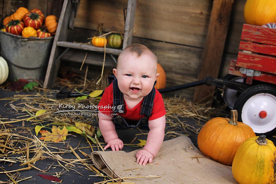Kate Pumpkin Harvest Backdrop Autumn and Halloween designed by Arica Kirby - Image 3