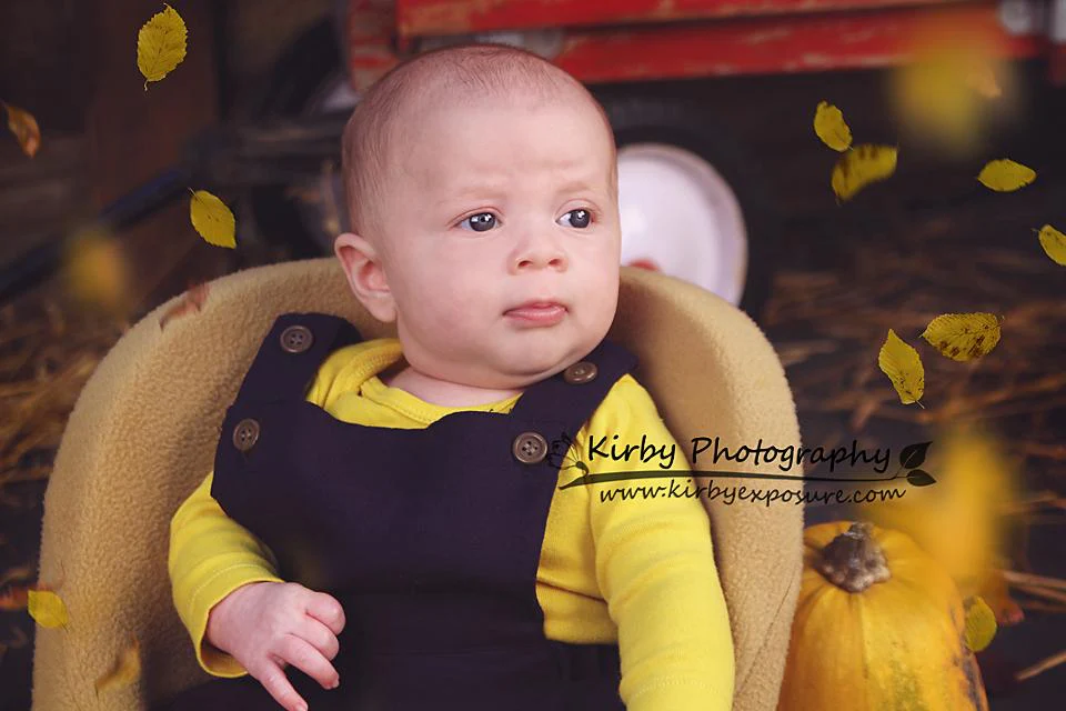 Kate Pumpkin Harvest Backdrop Autumn and Halloween designed by Arica Kirby - Image 6