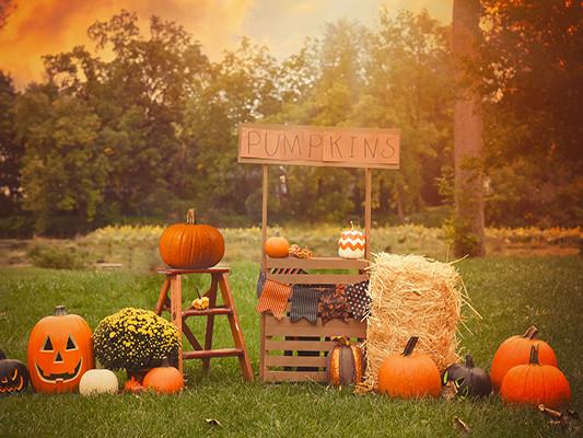 Kate Pumpkins Grassland Party Backdrop for Halloween Photography - Image 2