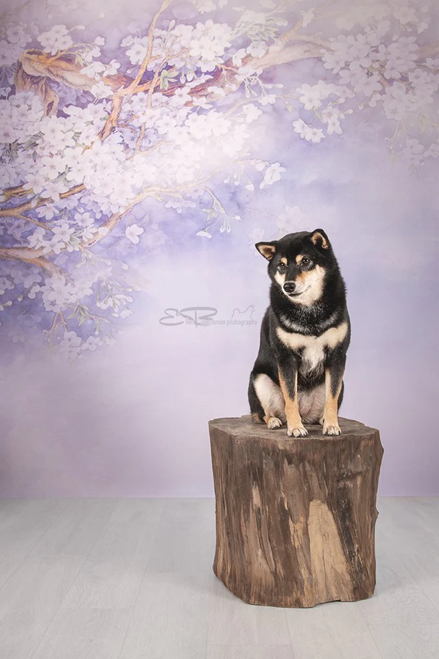 Kate Purple Backdrop Flower Photography Background - Image 3