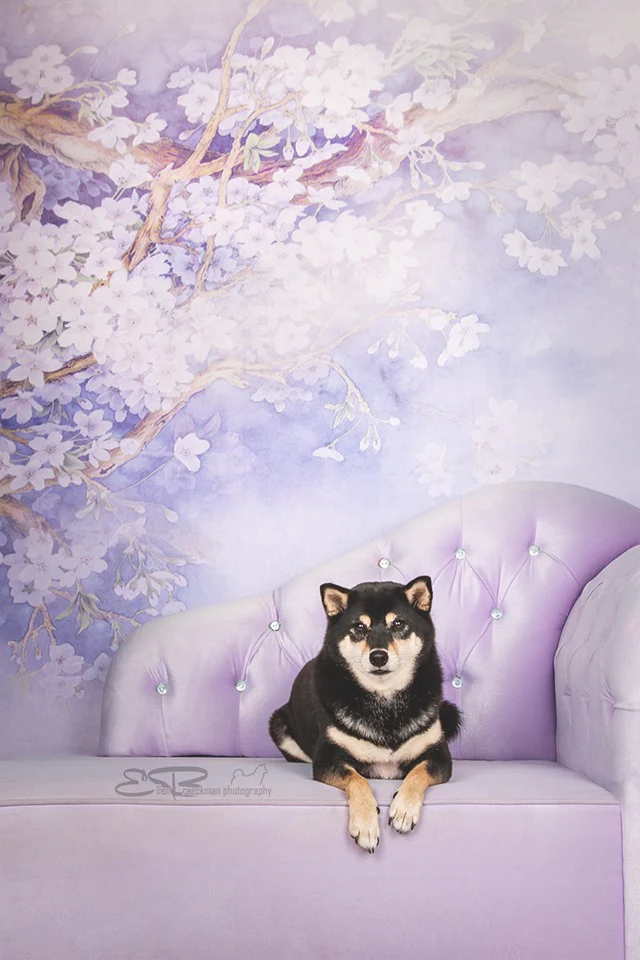 Kate Purple Backdrop Flower Photography Background - Image 6