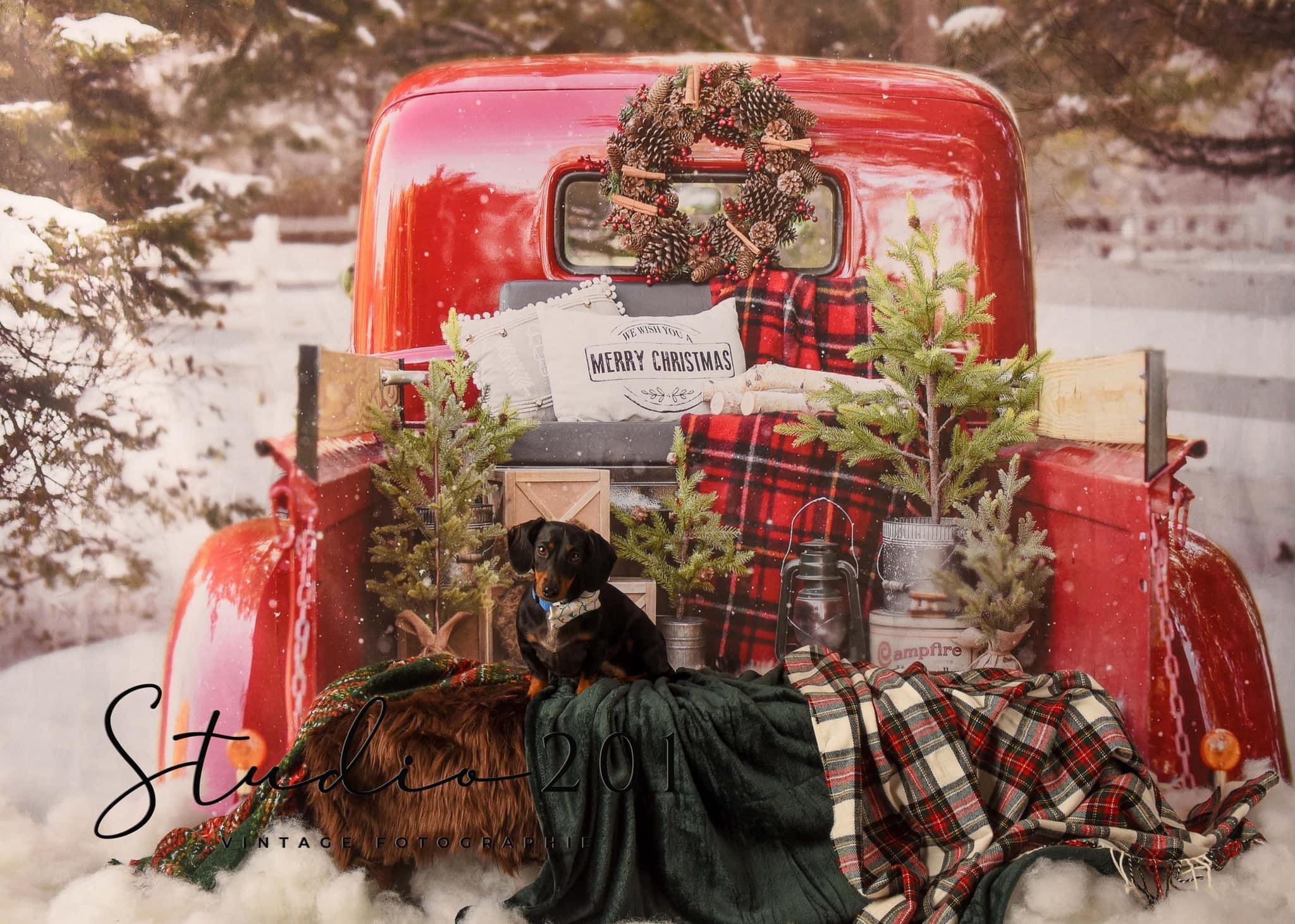 Kate Red Christmas Truck in Snow Backdrop Designed by Mandy Ringe Photography - Image 8