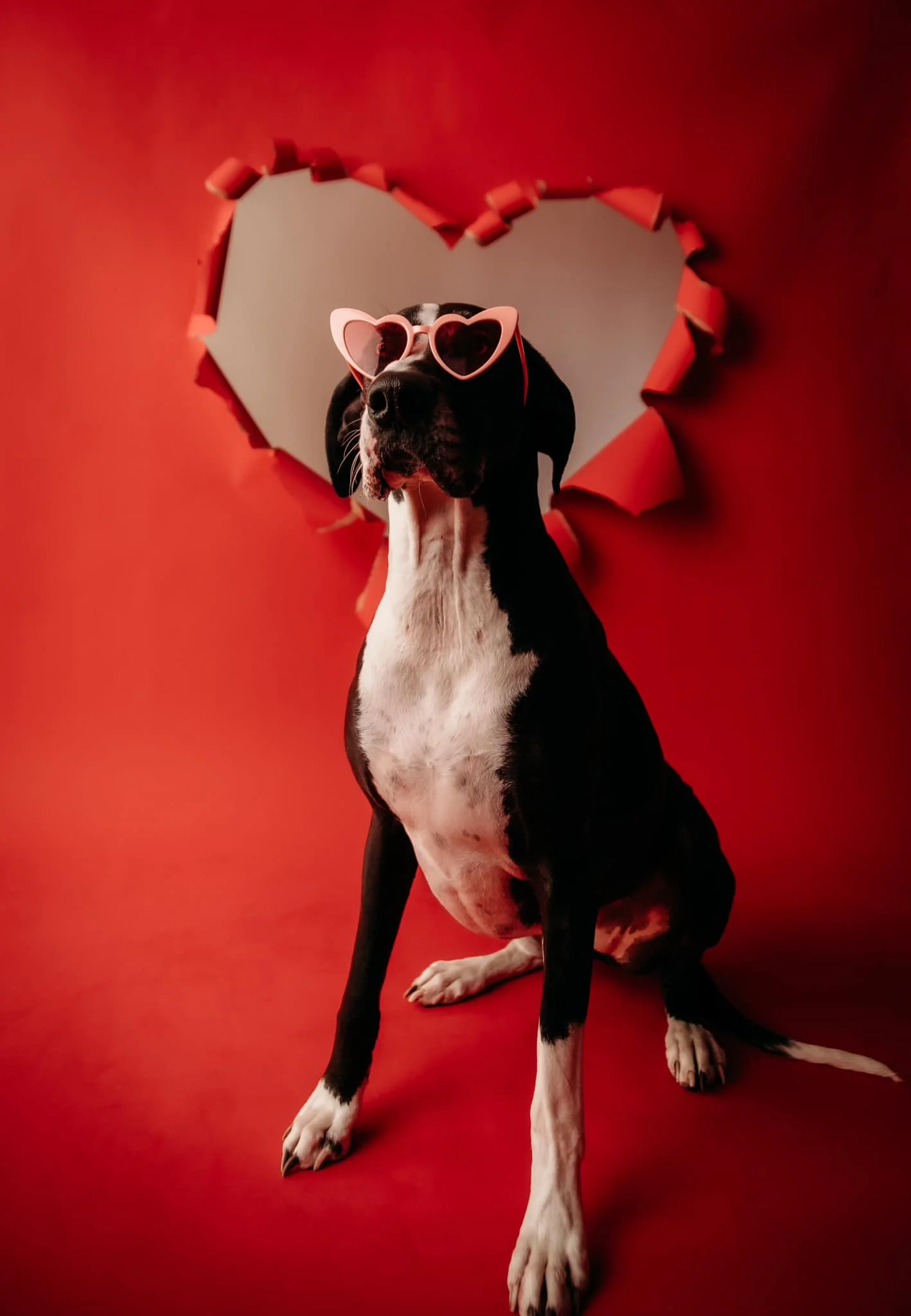 Kate Scarlet Red Seamless Paper Backdrop for Photography - Image 14