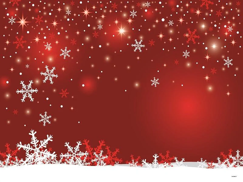 Kate Red Snowflake Marry Christmas Backdrop for photography - Image 2