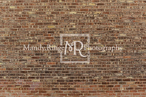 Kate Retro Brick Wall Backdrop Designed by Mandy Ringe Photography - Image 2