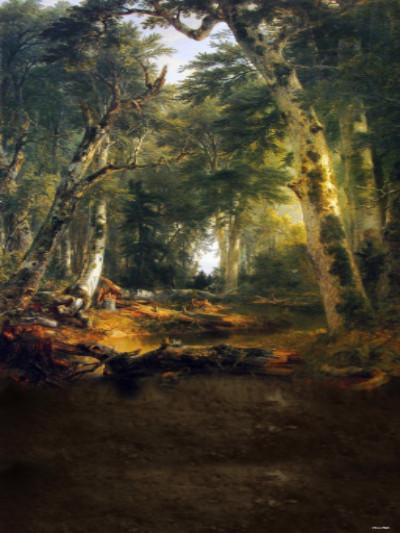 Kate Retro Forest Photography Backdrops for Children Photo - Image 2