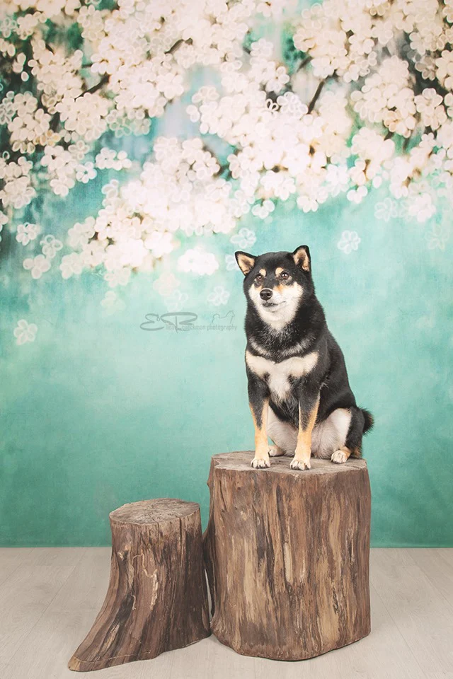 Kate Retro Green Background With Pink Flowers Backdrops for Children - Image 3
