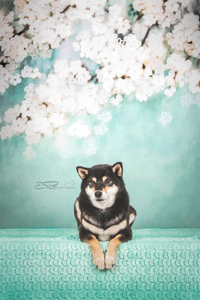 Kate Retro Green Background With Pink Flowers Backdrops for Children - Image 4