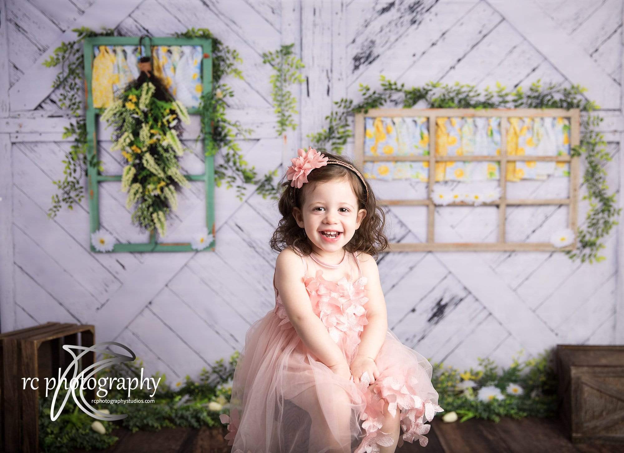 Kate Retro Wood Lemon color and Daisies  Spring Backdrop - Image 3