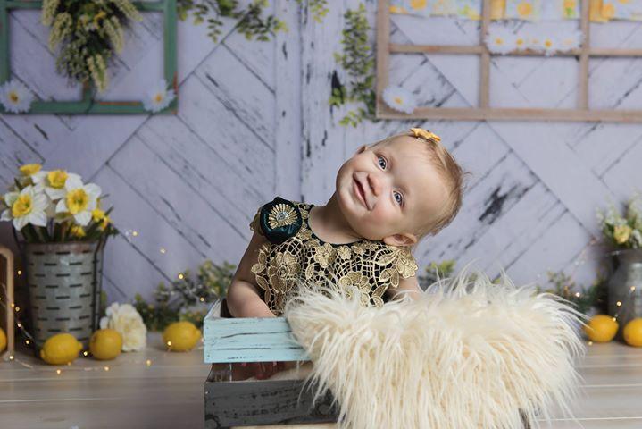 Kate Retro Wood Lemon color and Daisies  Spring Backdrop - Image 6