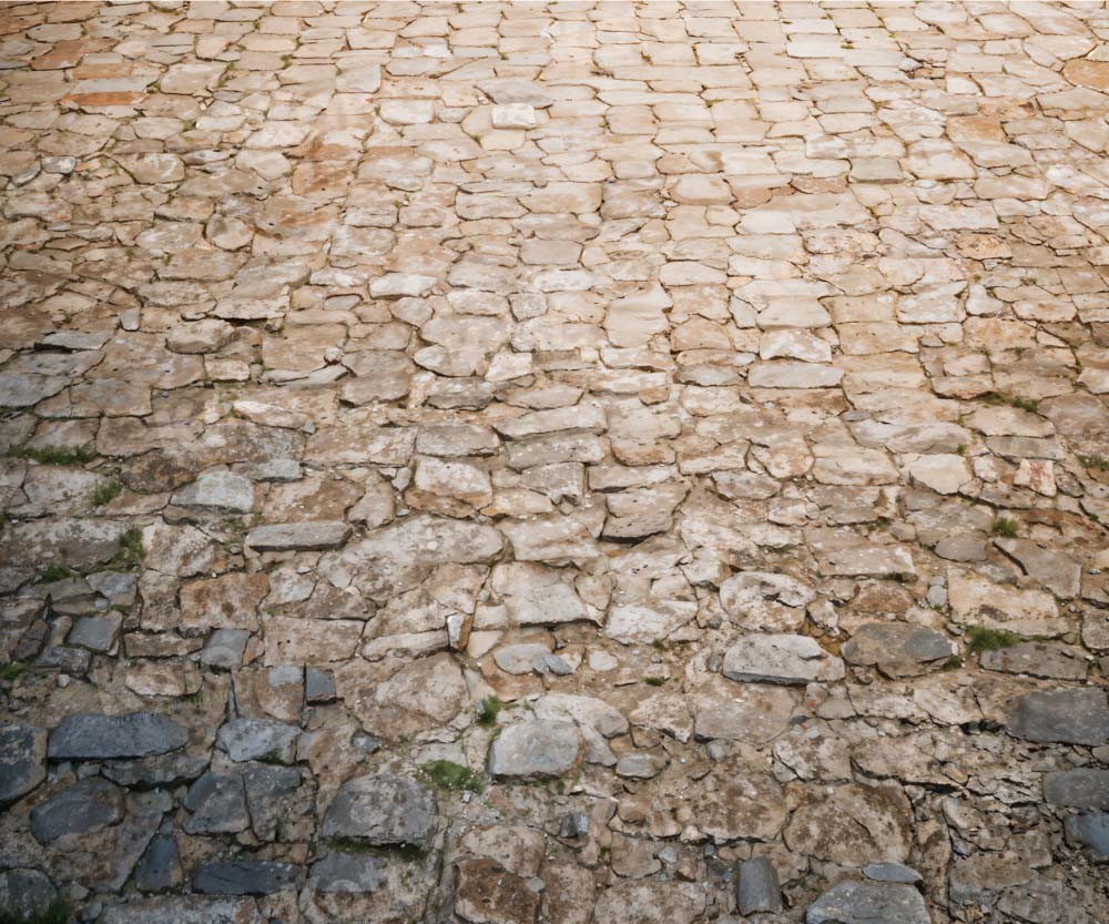 Kate Rugged Patterned Path Floor Backdrop Designed by Kate Image - Image 2