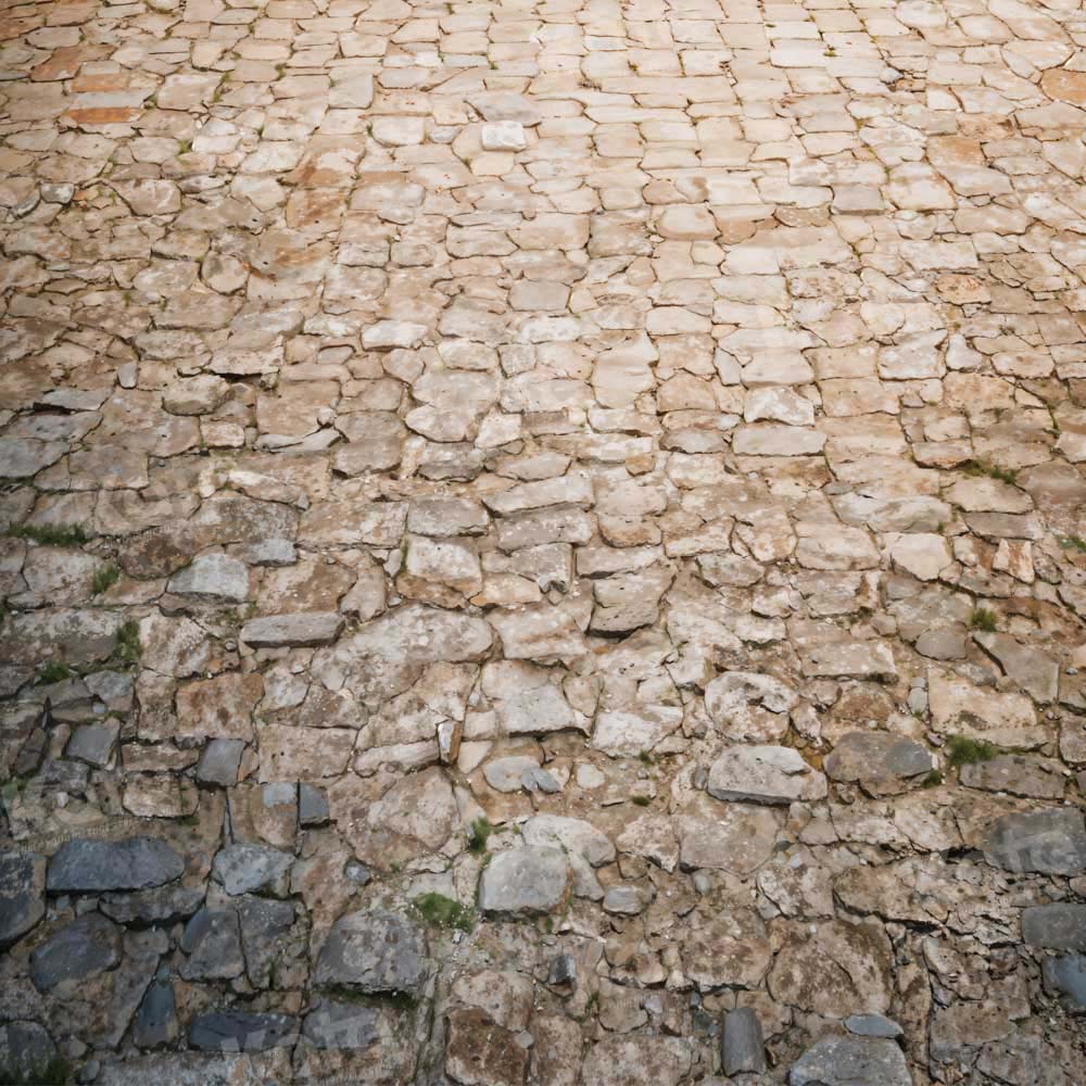Kate Rugged Patterned Path Floor Backdrop Designed by Kate Image - Image 4
