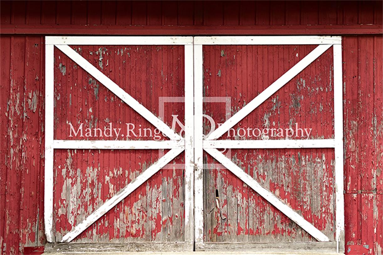 Kate Rustic Red Barn Door Backdrop Designed By Mandy Ringe Photography - Image 2
