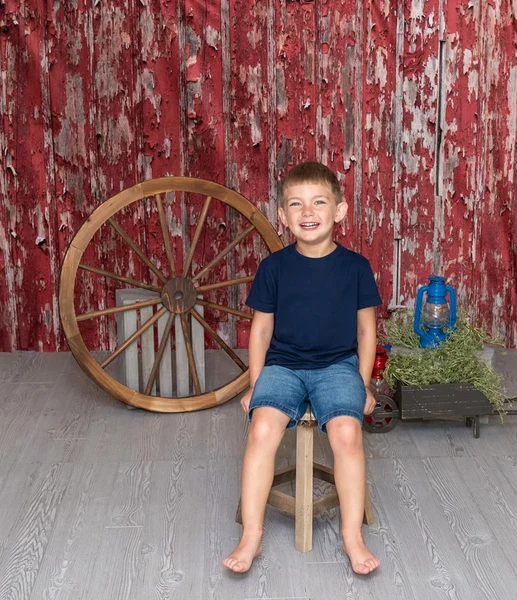 Kate Rustic Red Barn Wood Backdrop for Photography Designed By Mandy Ringe Photography - Image 4