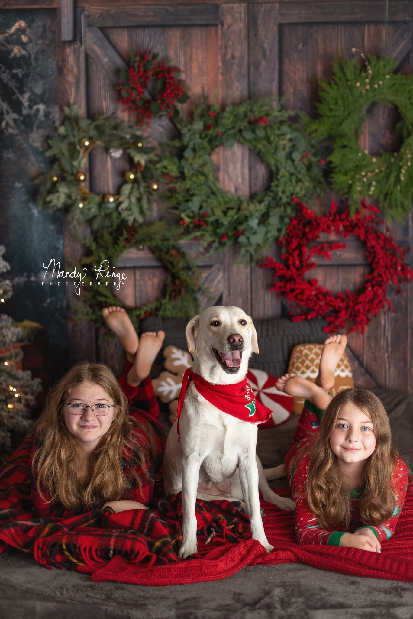 Kate Rustic Wooden Barn Door Backdrop Designed by Mini MakeBelieve - Image 5