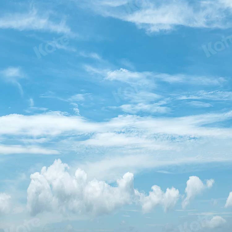 Kate Scenery Blue Sky Summer White Clouds Backdrop Designed by Kate Image - Image 2