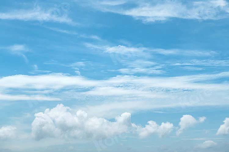 Kate Scenery Blue Sky Summer White Clouds Backdrop Designed by Kate Image - Image 3