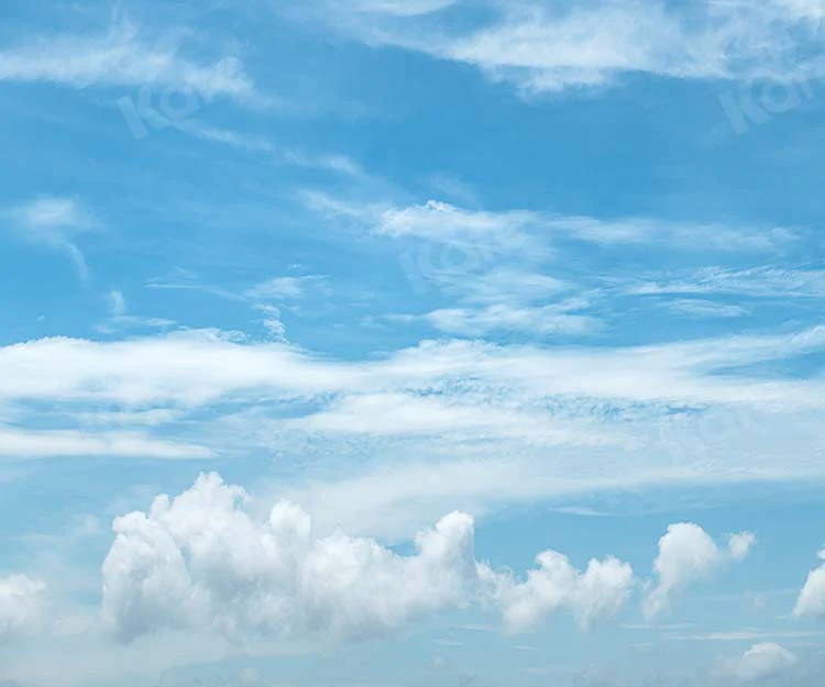 Kate Scenery Blue Sky Summer White Clouds Backdrop Designed by Kate Image - Image 4
