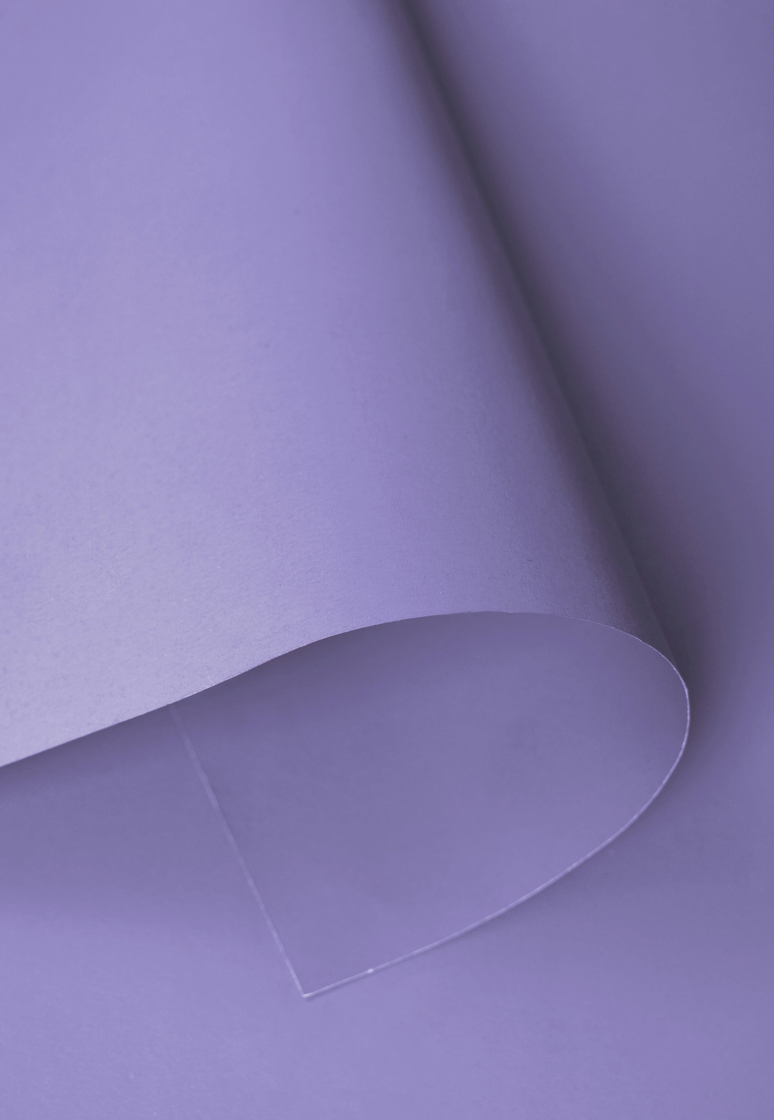 Kate Seamless Paper Backdrop for Photography - Image 64