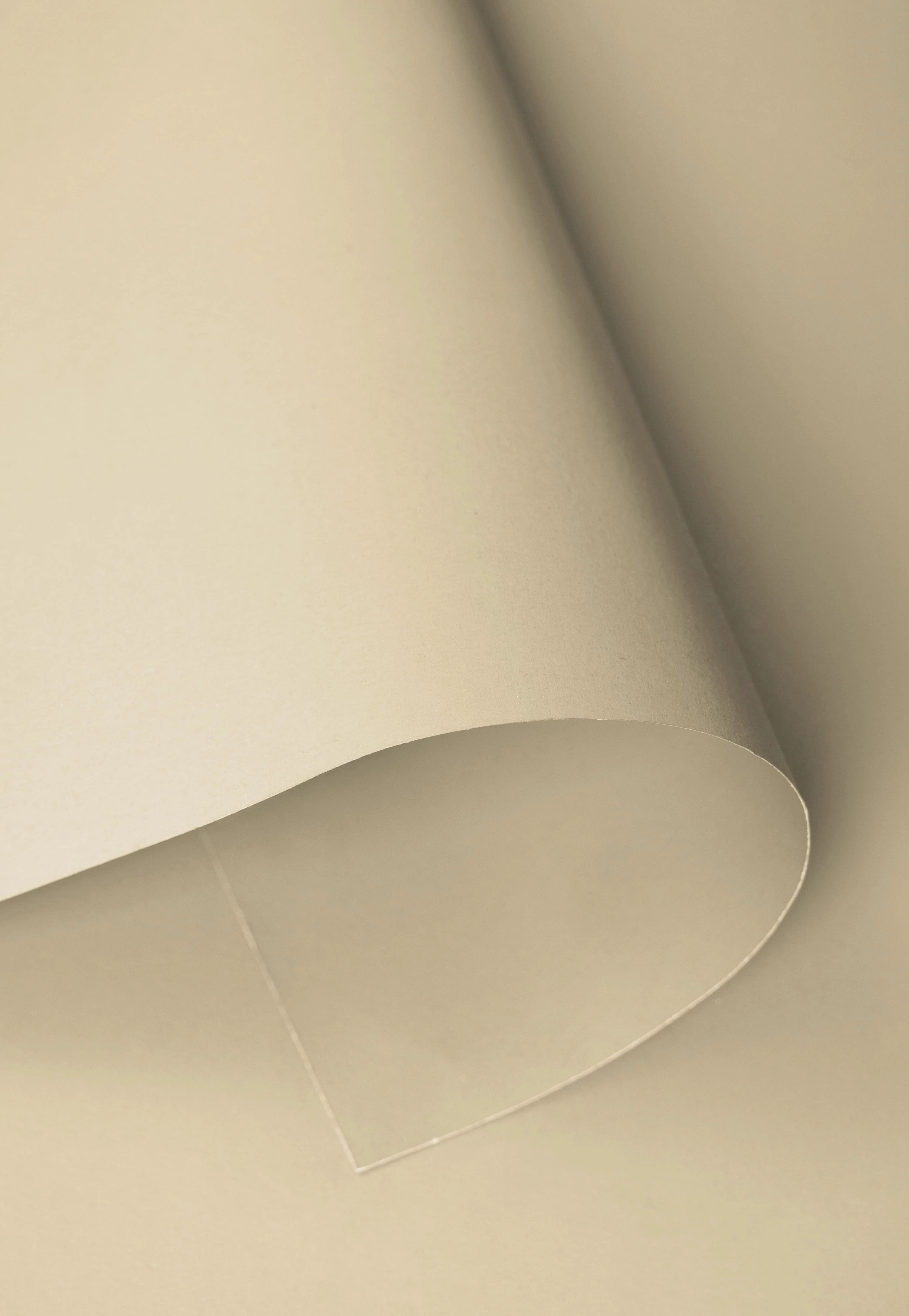 Kate Seamless Paper Backdrop for Photography - Image 76