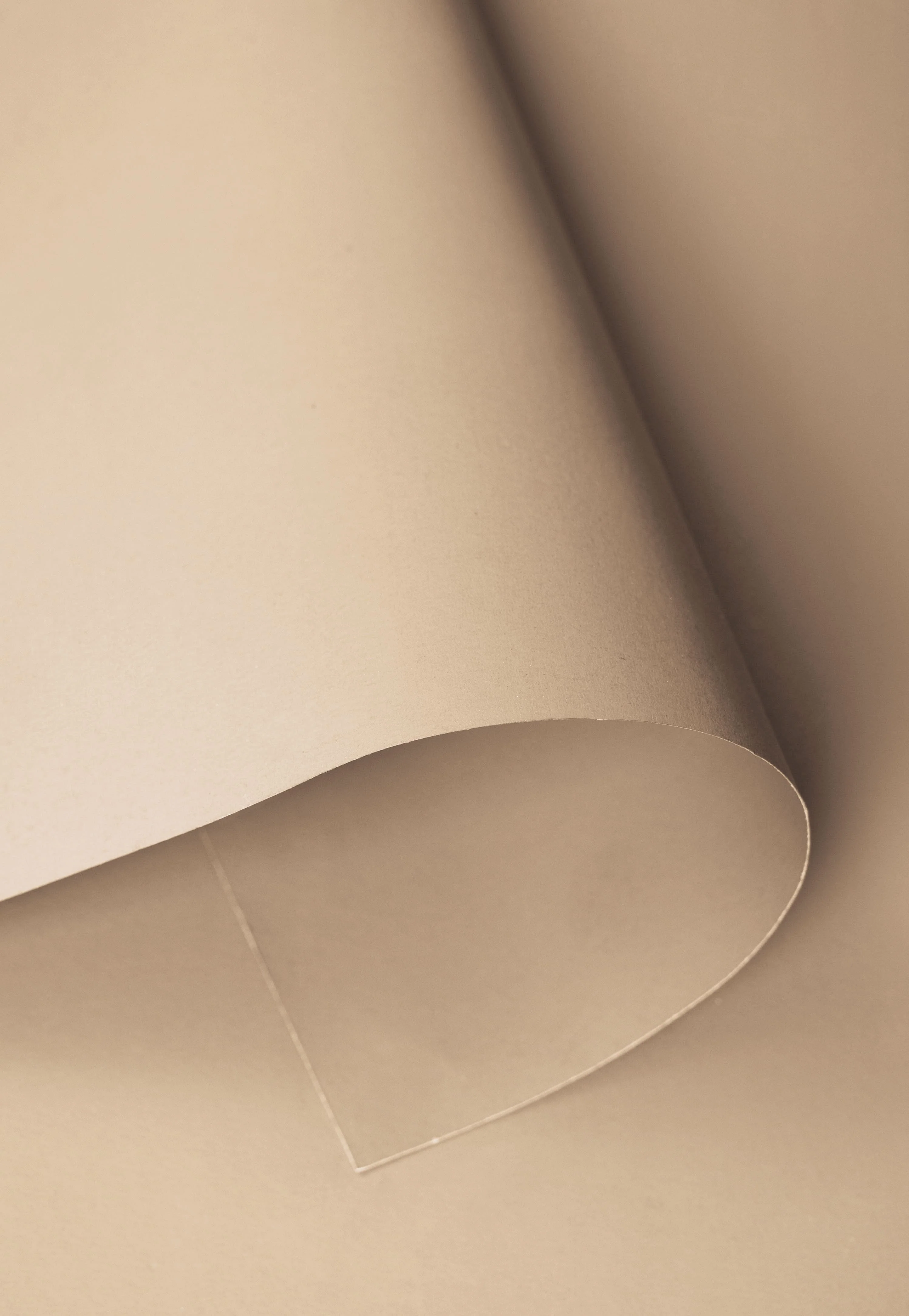 Kate Seamless Paper Backdrop for Photography - Image 94