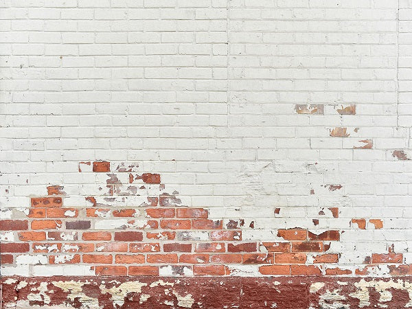 Kate Shabby White and Red Brick Backdrop Designed By Mandy Ringe Photography - Image 2