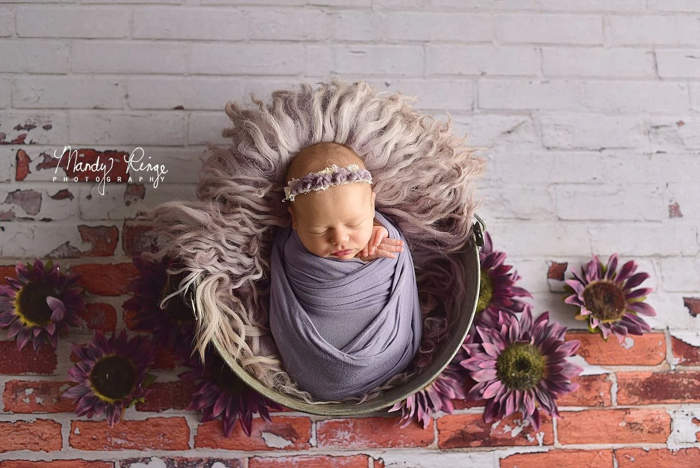Kate Shabby White and Red Brick Backdrop Designed By Mandy Ringe Photography - Image 3